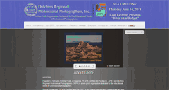Desktop Screenshot of drpp-ny.org